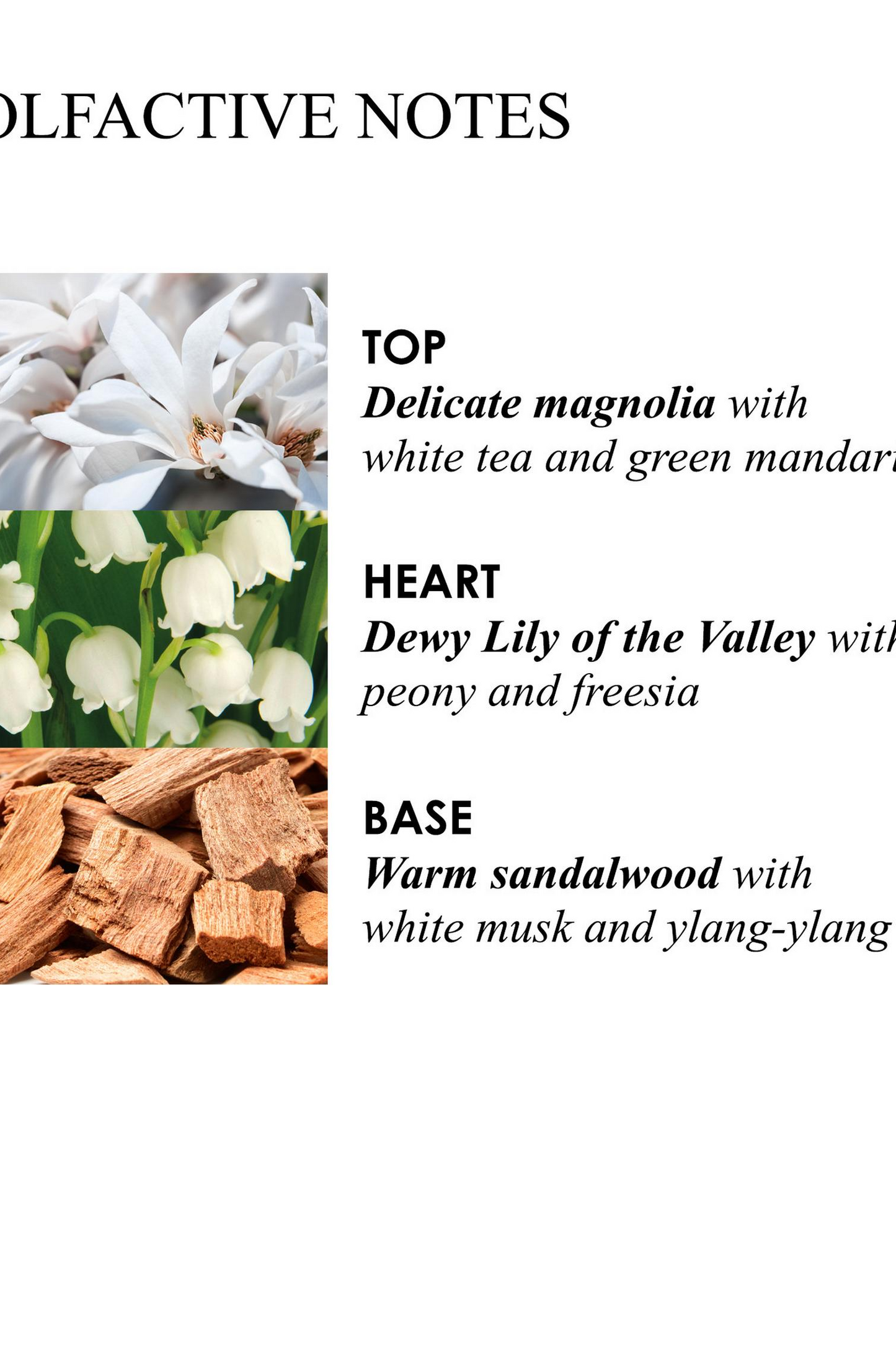 Lily & Magnolia Blossom Body Lotion