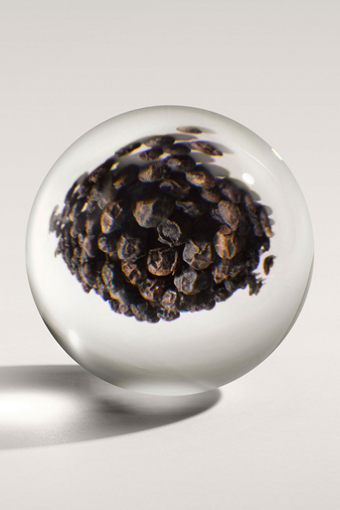 Re-charge Black Pepper Eau de Toilette