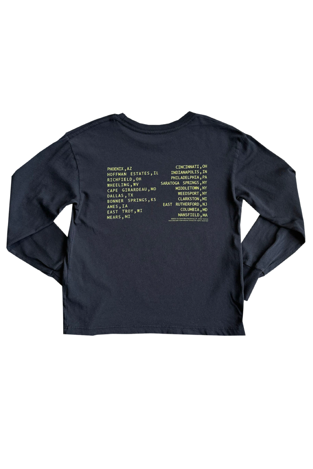 Guns N' Roses Organic L/S Tee