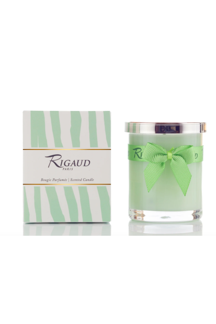 JASMINE DE PRINTEMPS SMALL