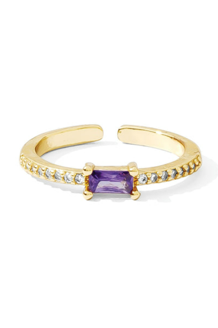 Delicate Pave Adjustable Ring