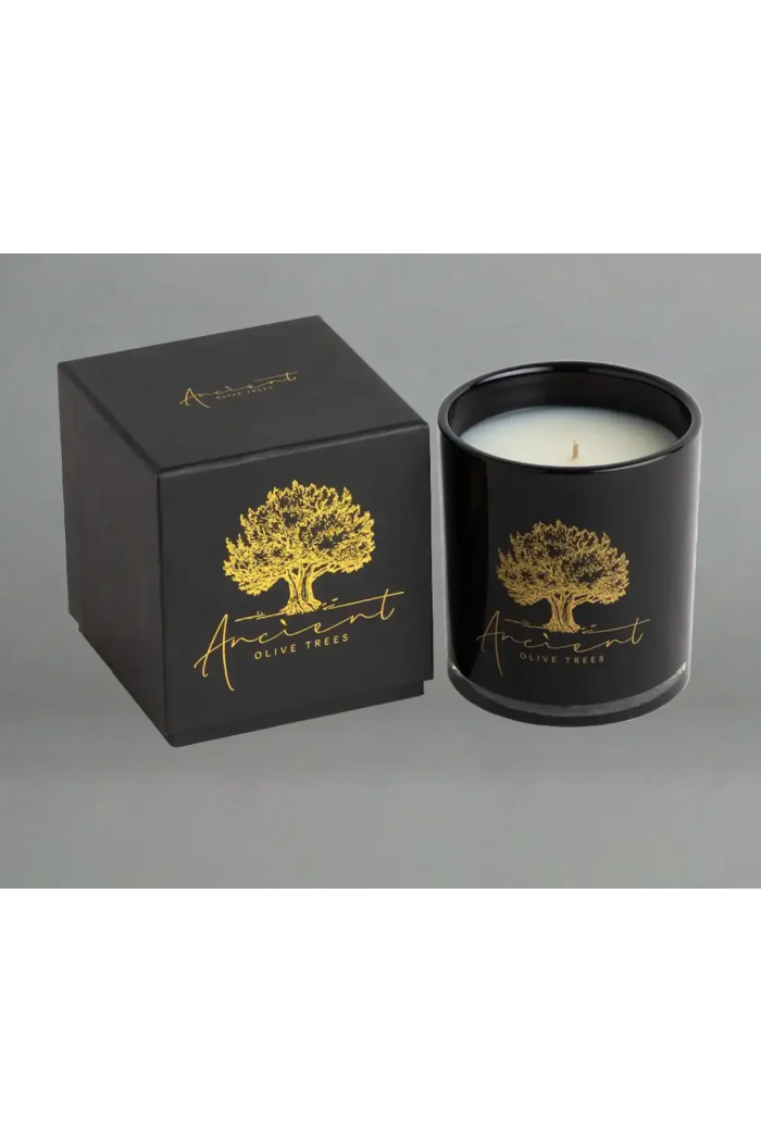 SILK ROAD CANDLE 13.5 OZ