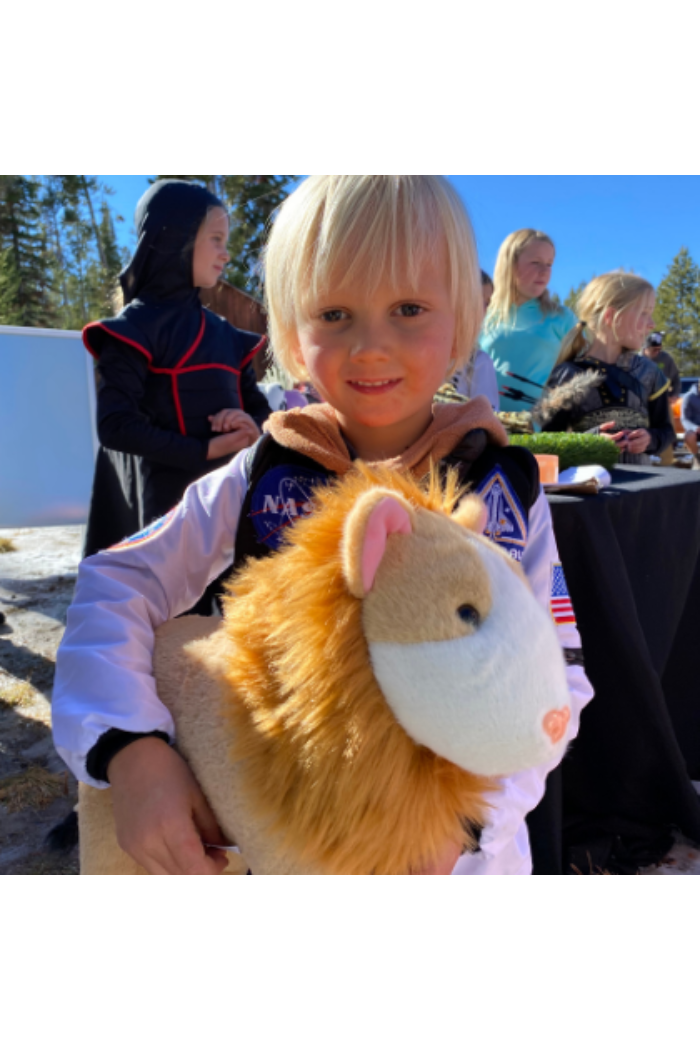Randimals Hamlion Large Plush toy