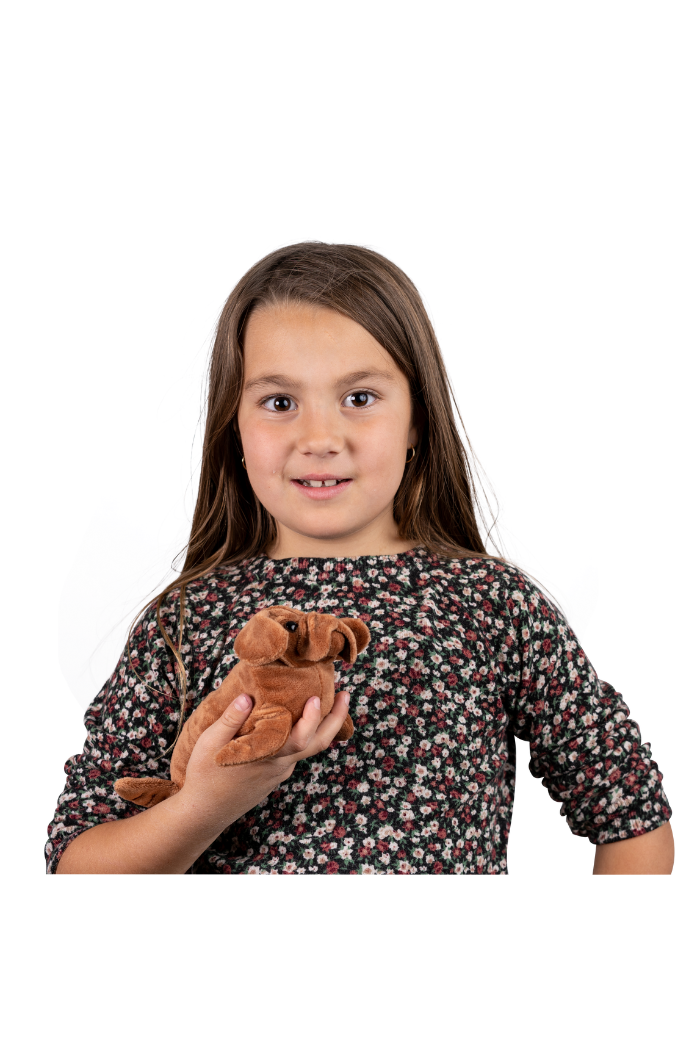 Randimals Sea-Dawg Floppy Mini Stuffed Toy
