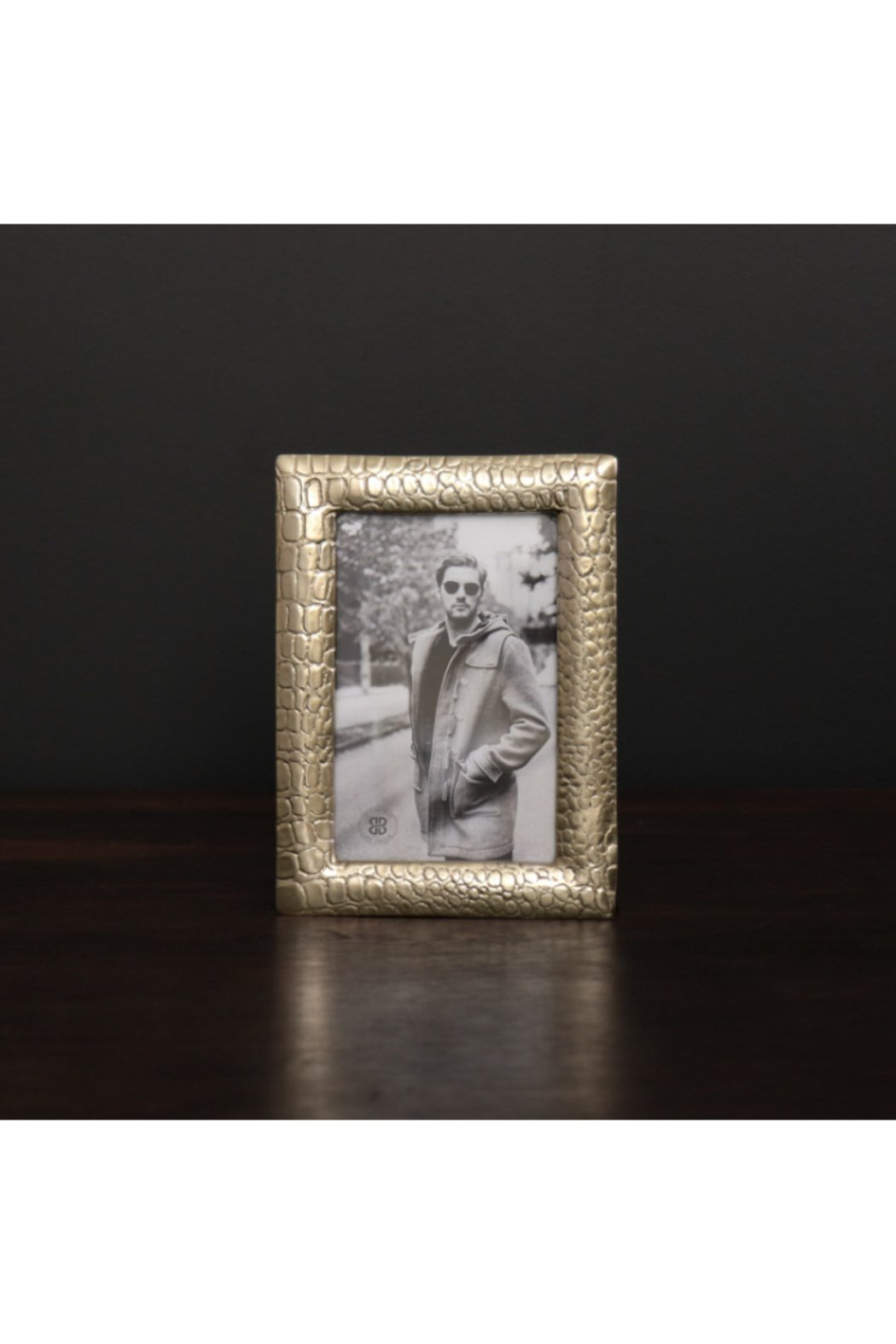 4X6 SIERRA MODERN CROC FRAME