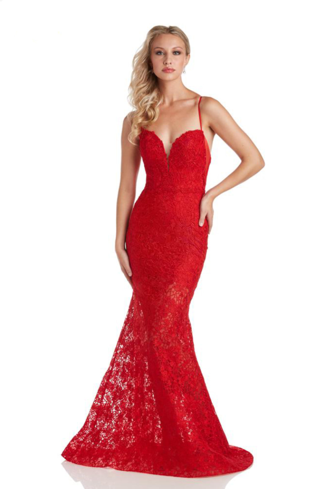 Iris Lace Mermaid Gown