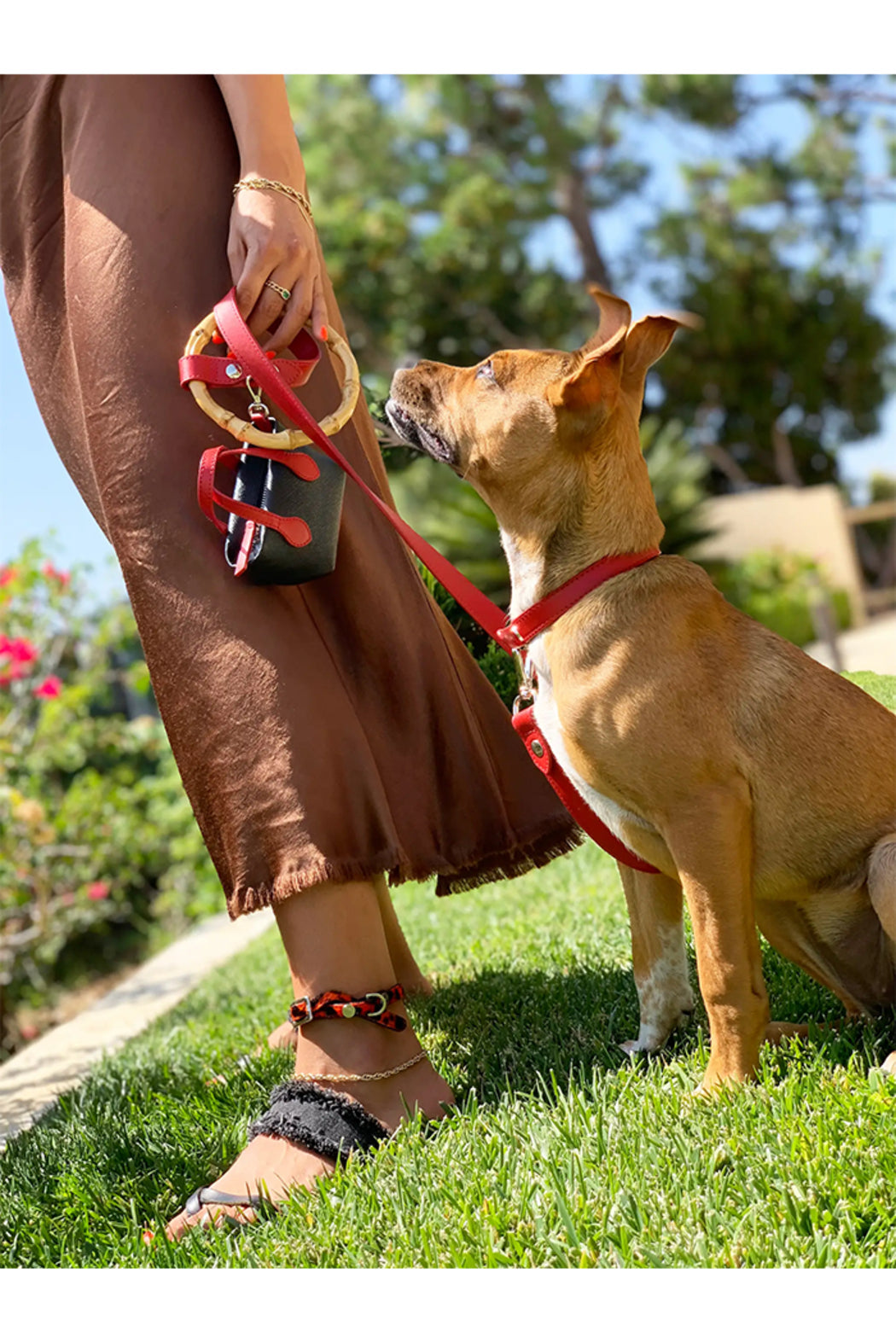 Luxury Pet Leash - Short