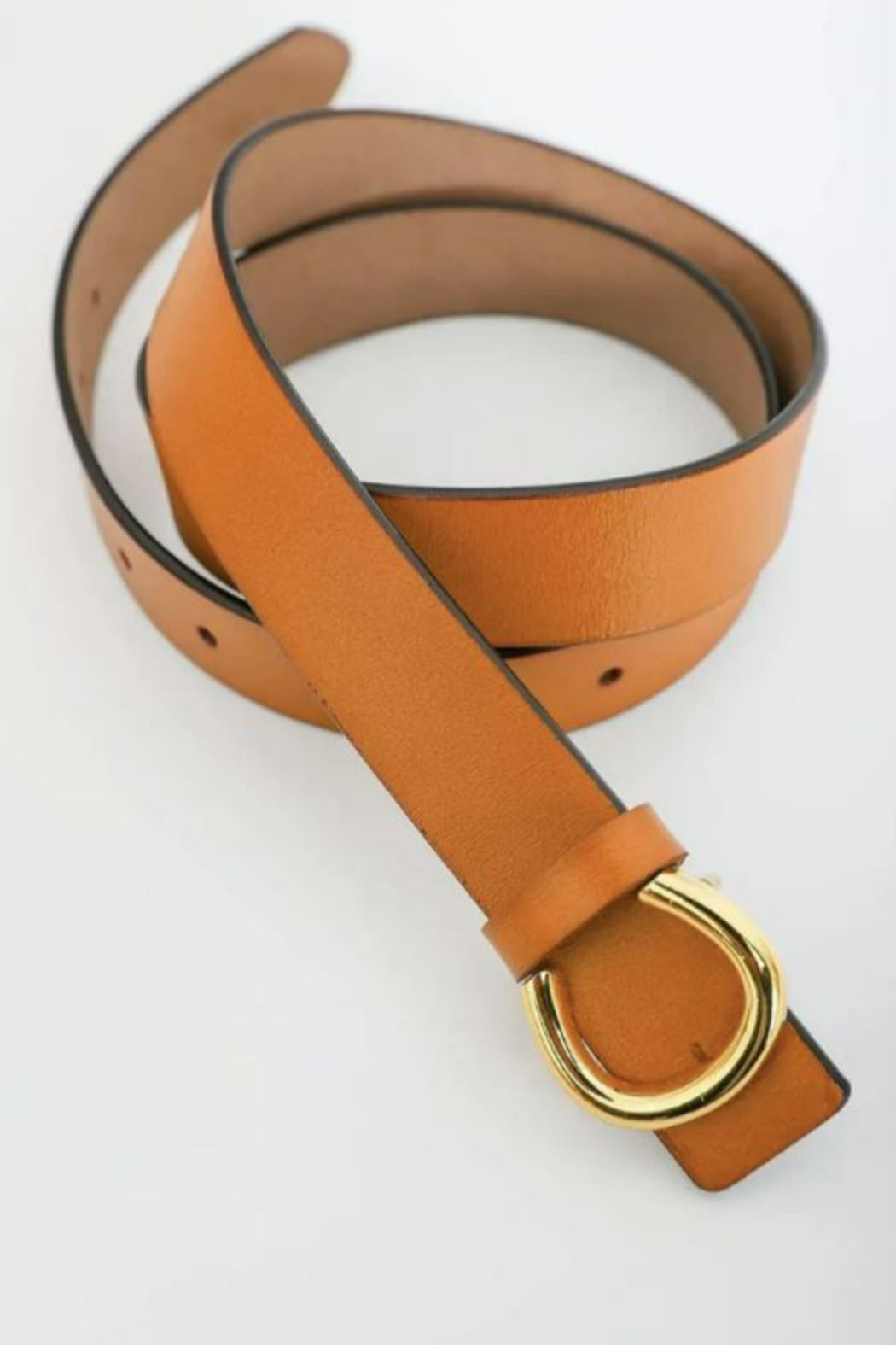 Minimalist Gold Horseshoe Belt