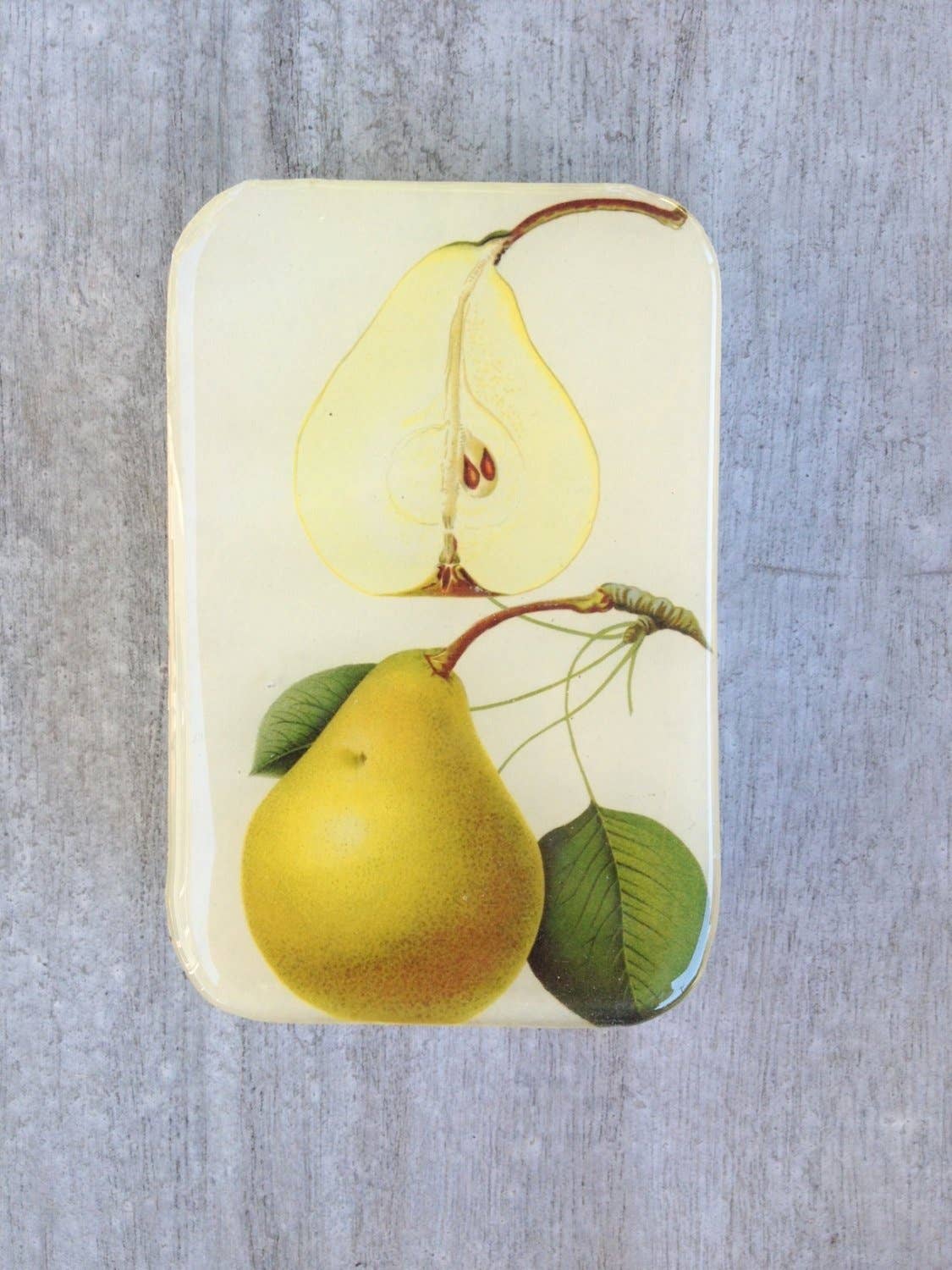 Botanical Pear Tin: Small
