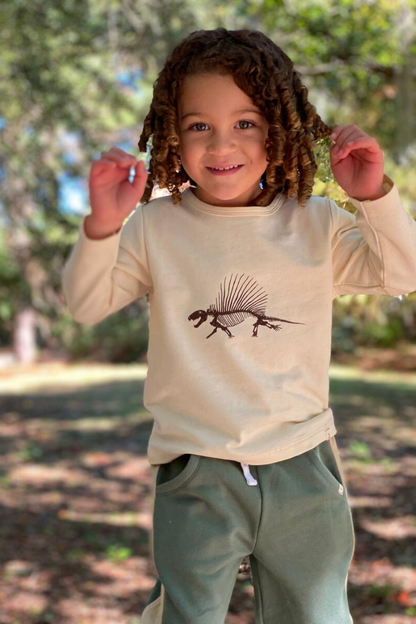 Isaac Dinosaur Tee Shirt