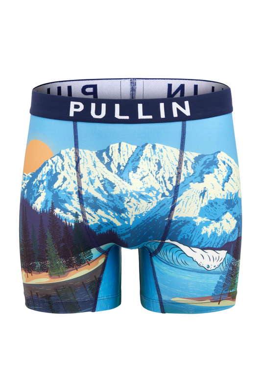 Pullin Brief's Winter 2022