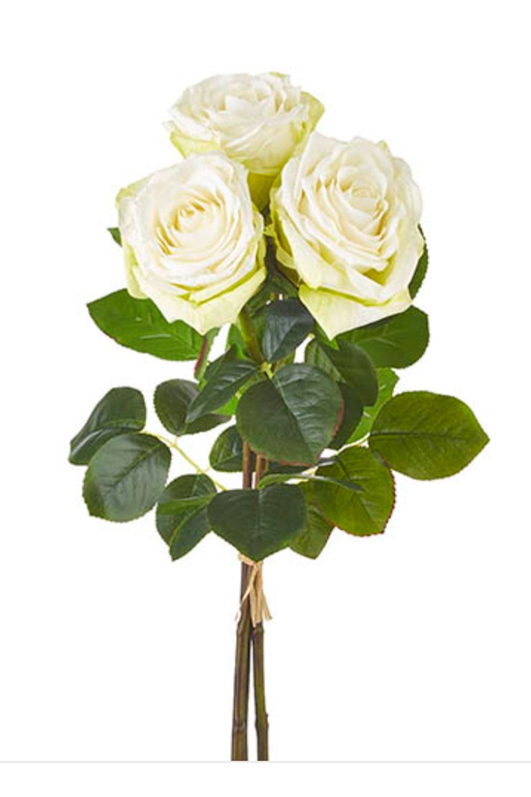 Rose Bundle