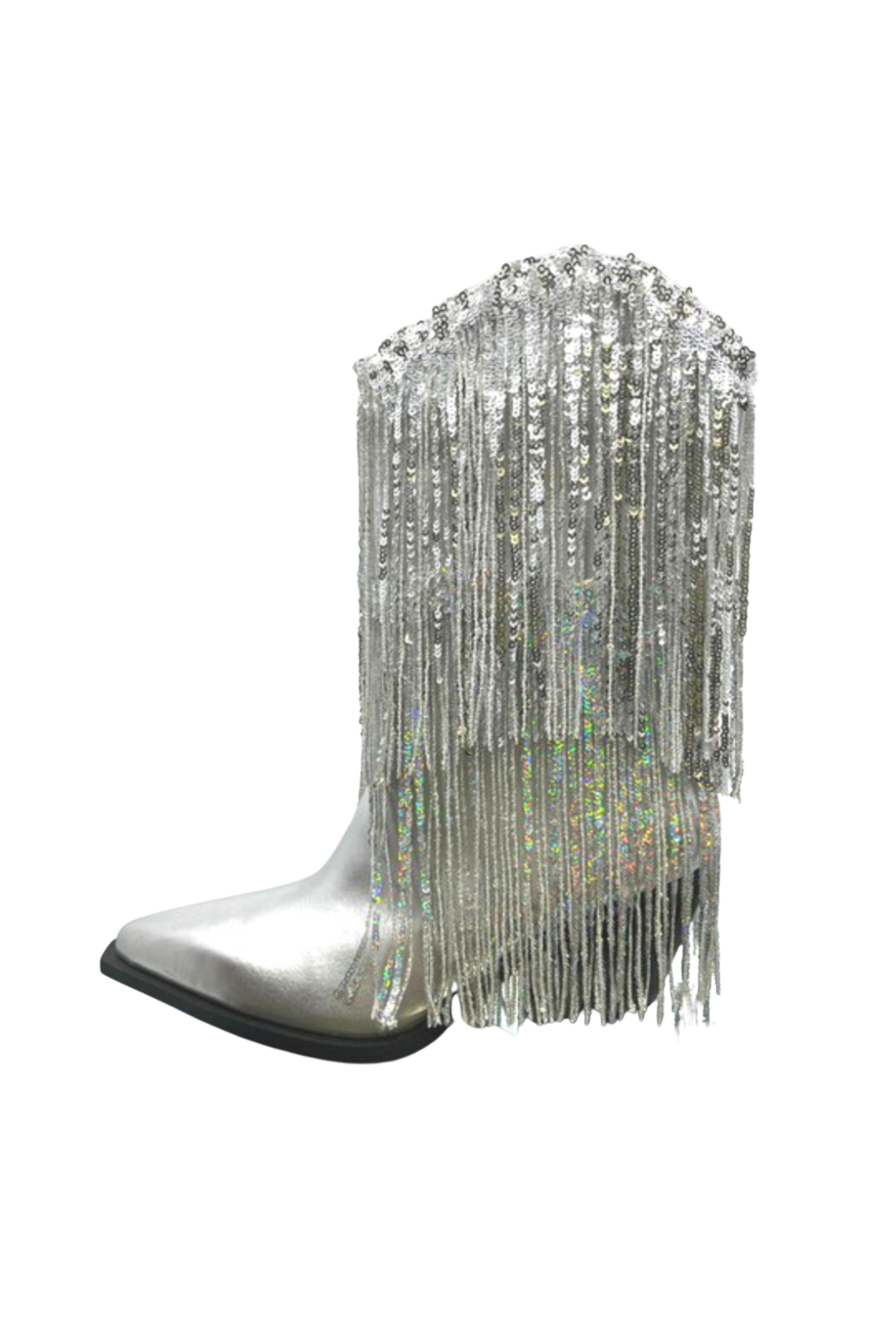Miley-10 Fringe Sequin Boot