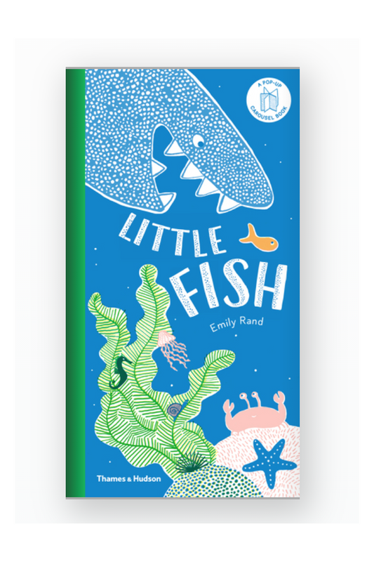 LITTLE FISH BOOK