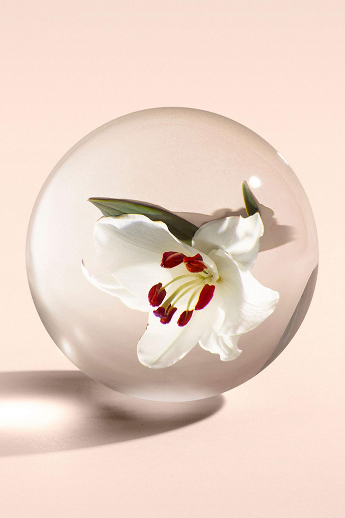 Heavenly Gingerlily Eau de Toilette