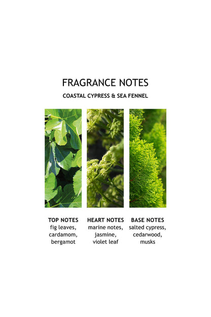 Coastal Cypress & Sea Fennel Body Lotion