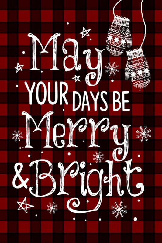 Merry & Bright Garden Flag