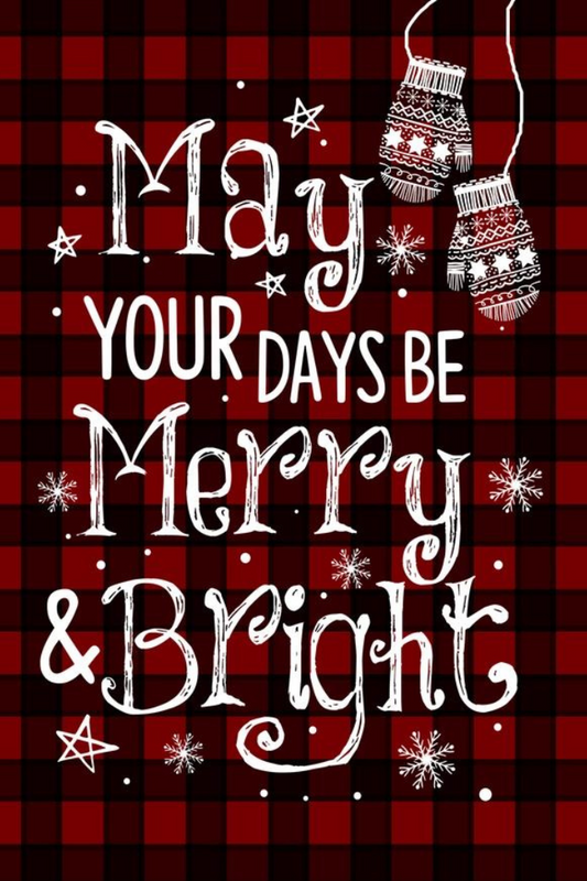 Merry & Bright House Flag