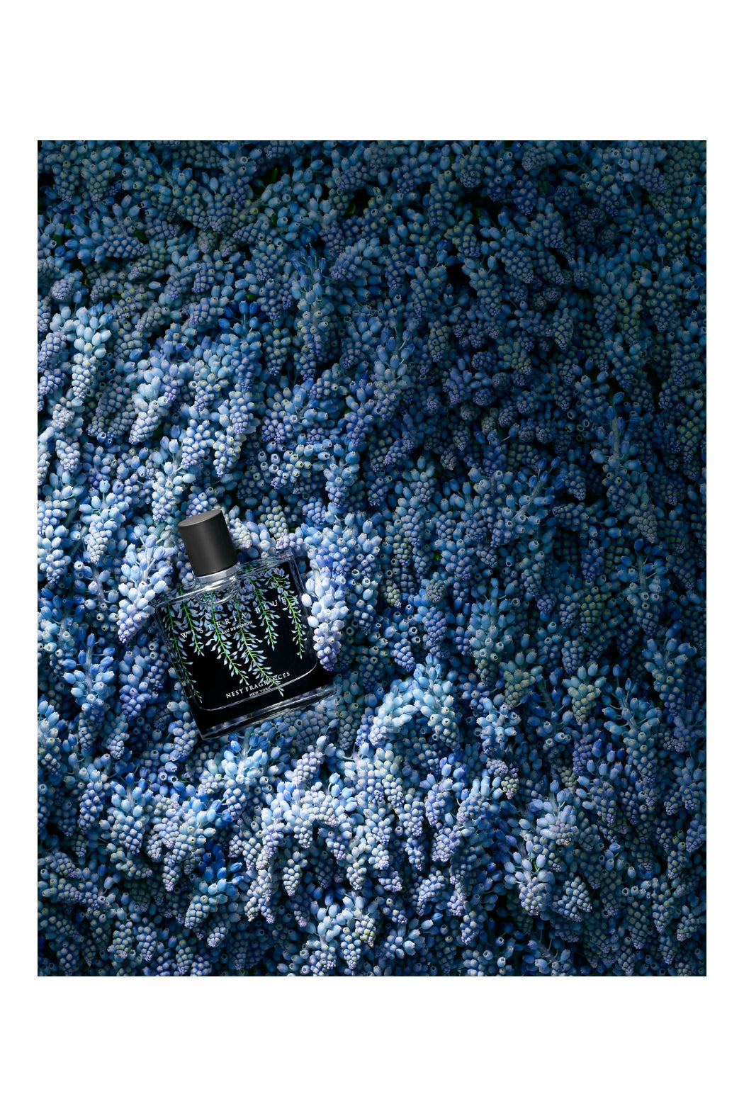 WISTERIA BLUE Eau De Parfum