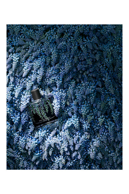 WISTERIA BLUE Eau De Parfum