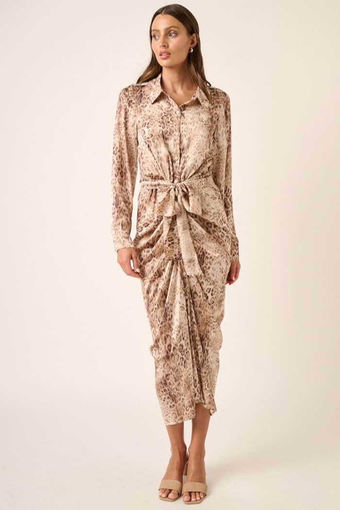 Spot Me Shirt Dress