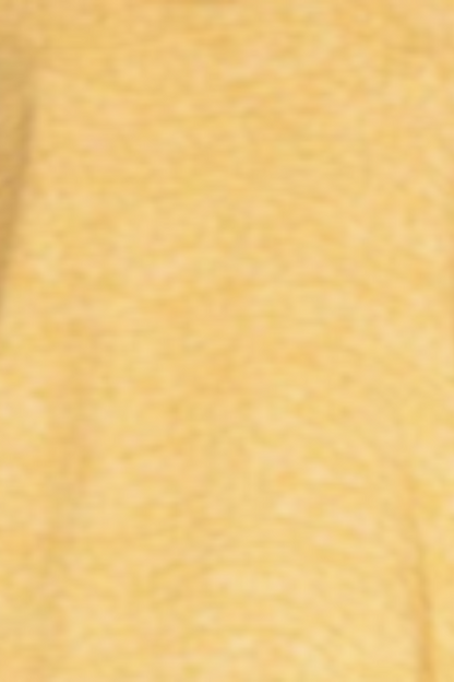 Double scoop neck tank