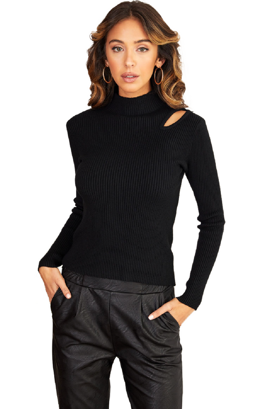 Pinstripe Turtleneck Soft Knit Top