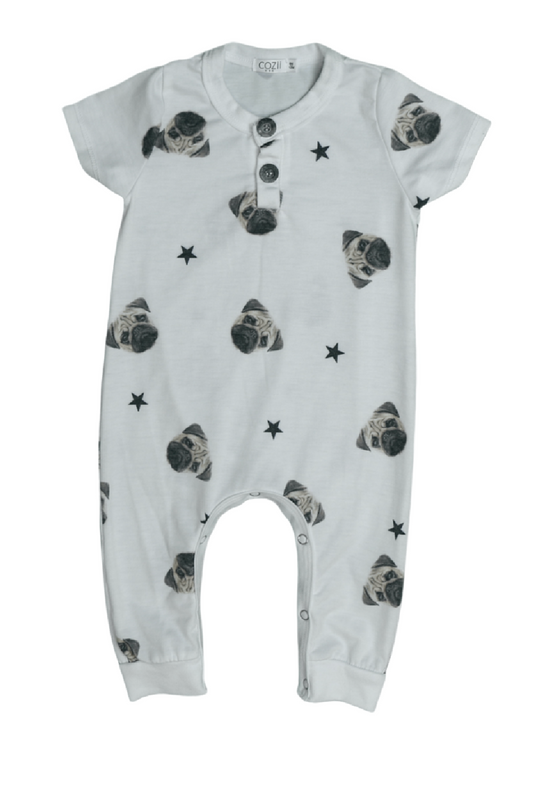 Pugs and Stars Henley