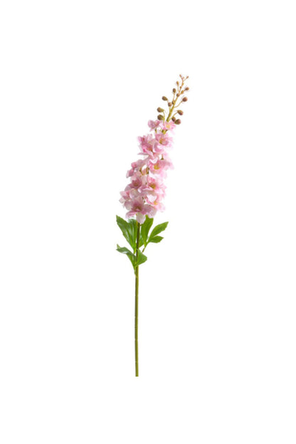Delphinium Stem