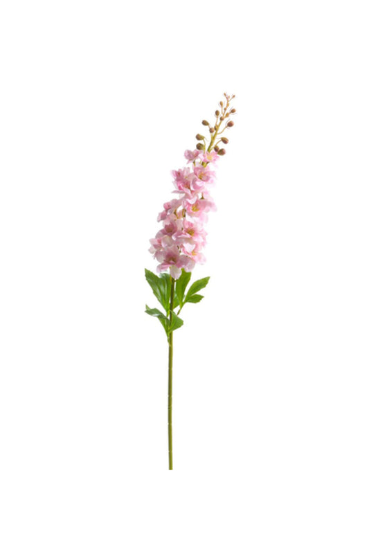 Delphinium Stem