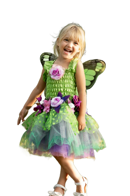 Fairy Blooms Deluxe Dress and Wings