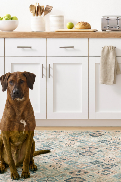 Pali Blue Washable Rug 2x3