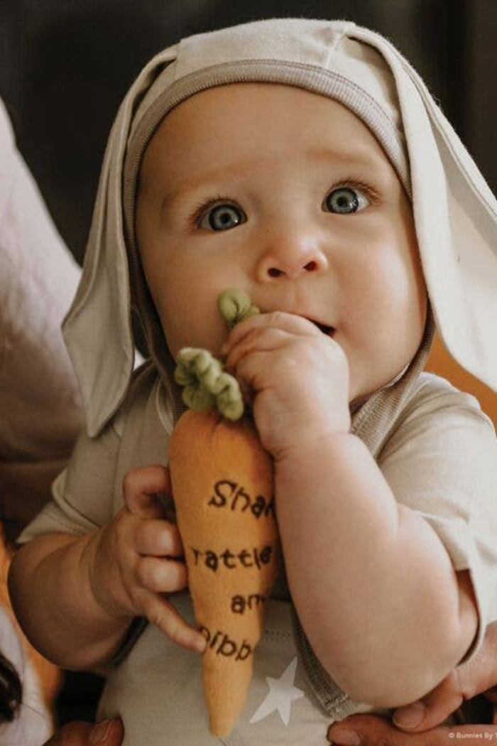 Carrot Rattle