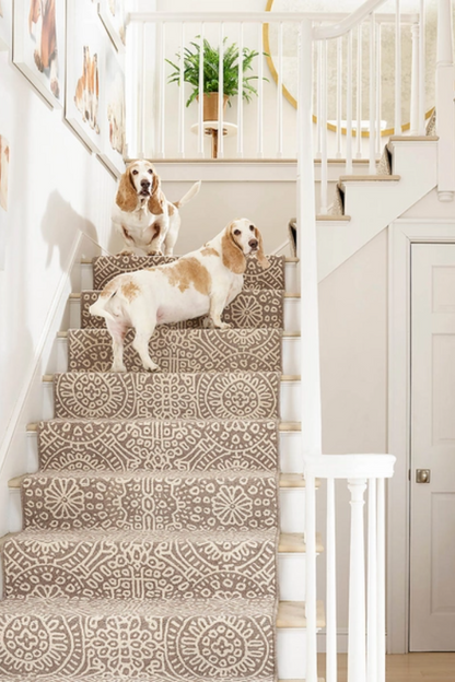 Dash & Albert Lifestyle Rugs