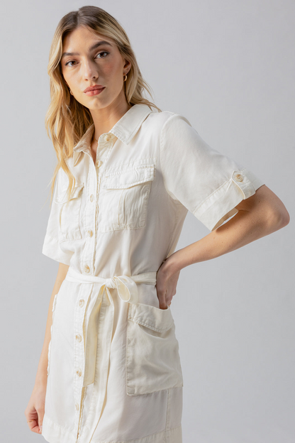 Fluid Surplus Dress - Birch