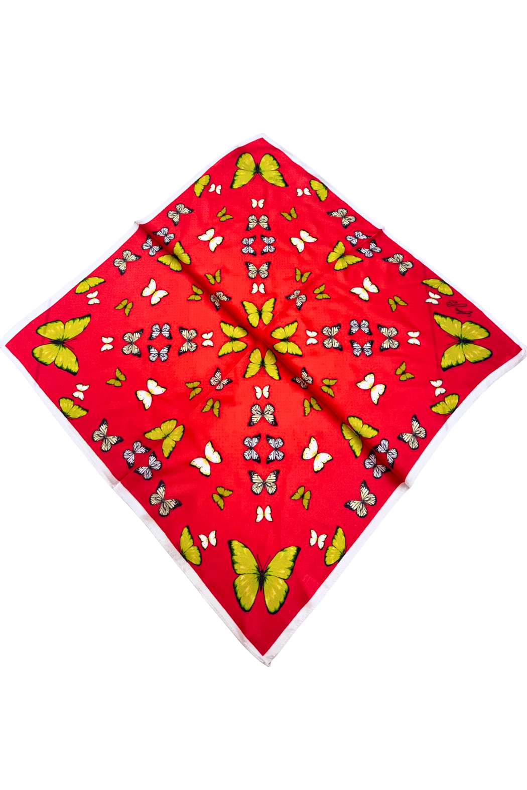Cora B Satin Scarf