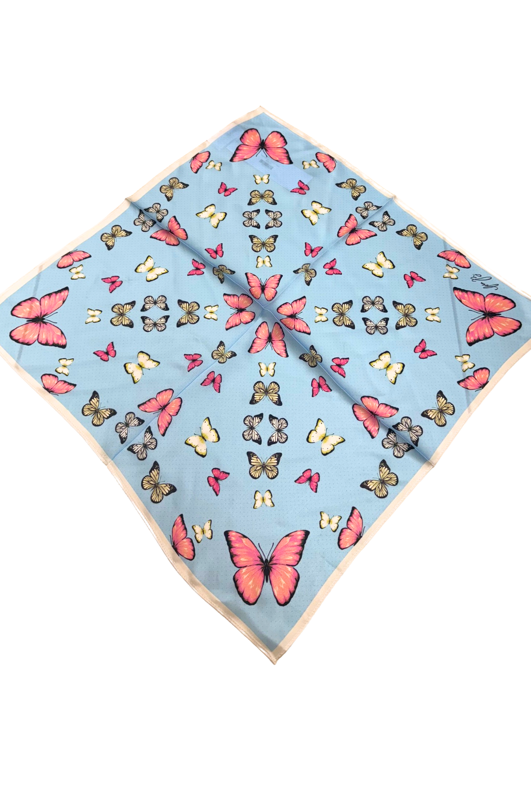 Cora B Satin Scarf