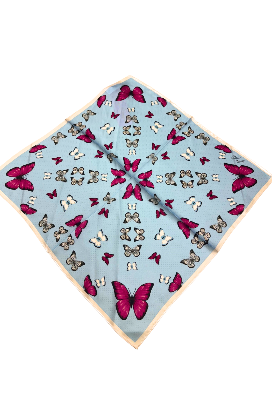 Cora B Satin Scarf