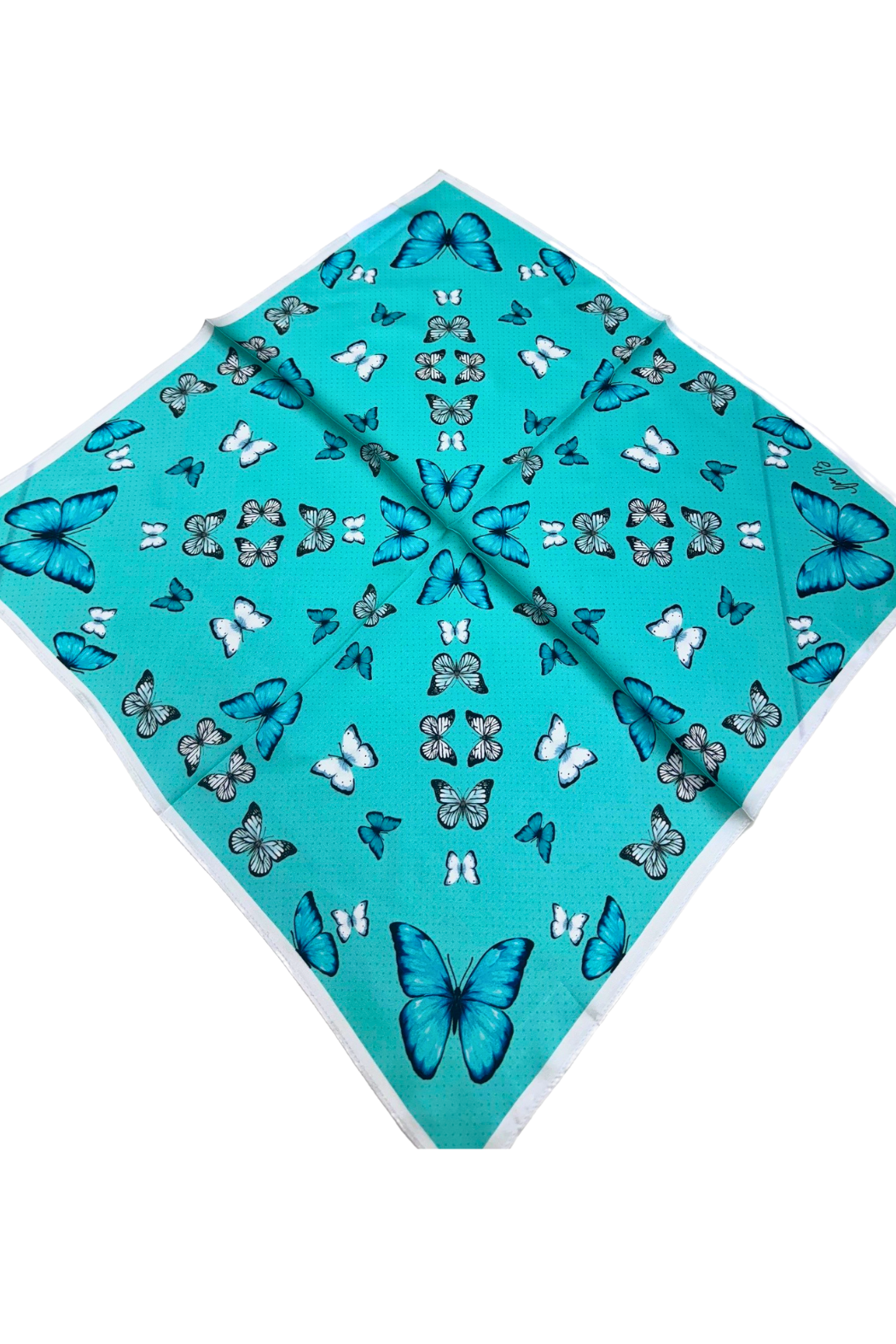 Cora B Satin Scarf