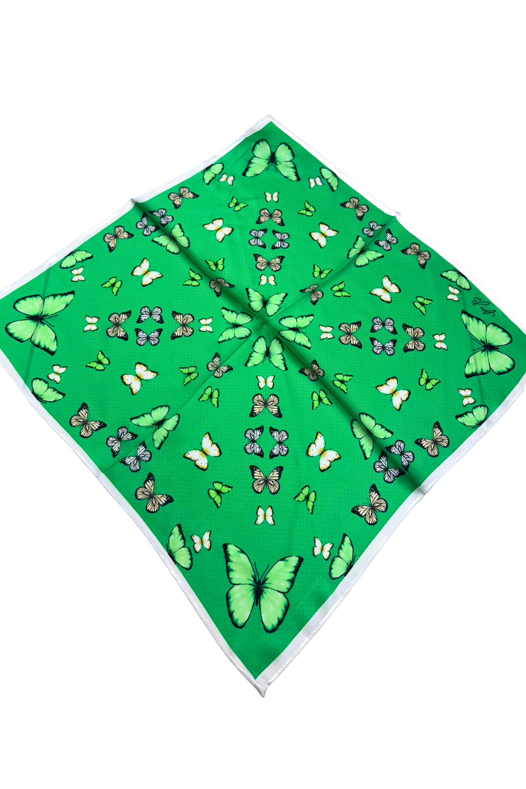 Cora B Satin Scarf