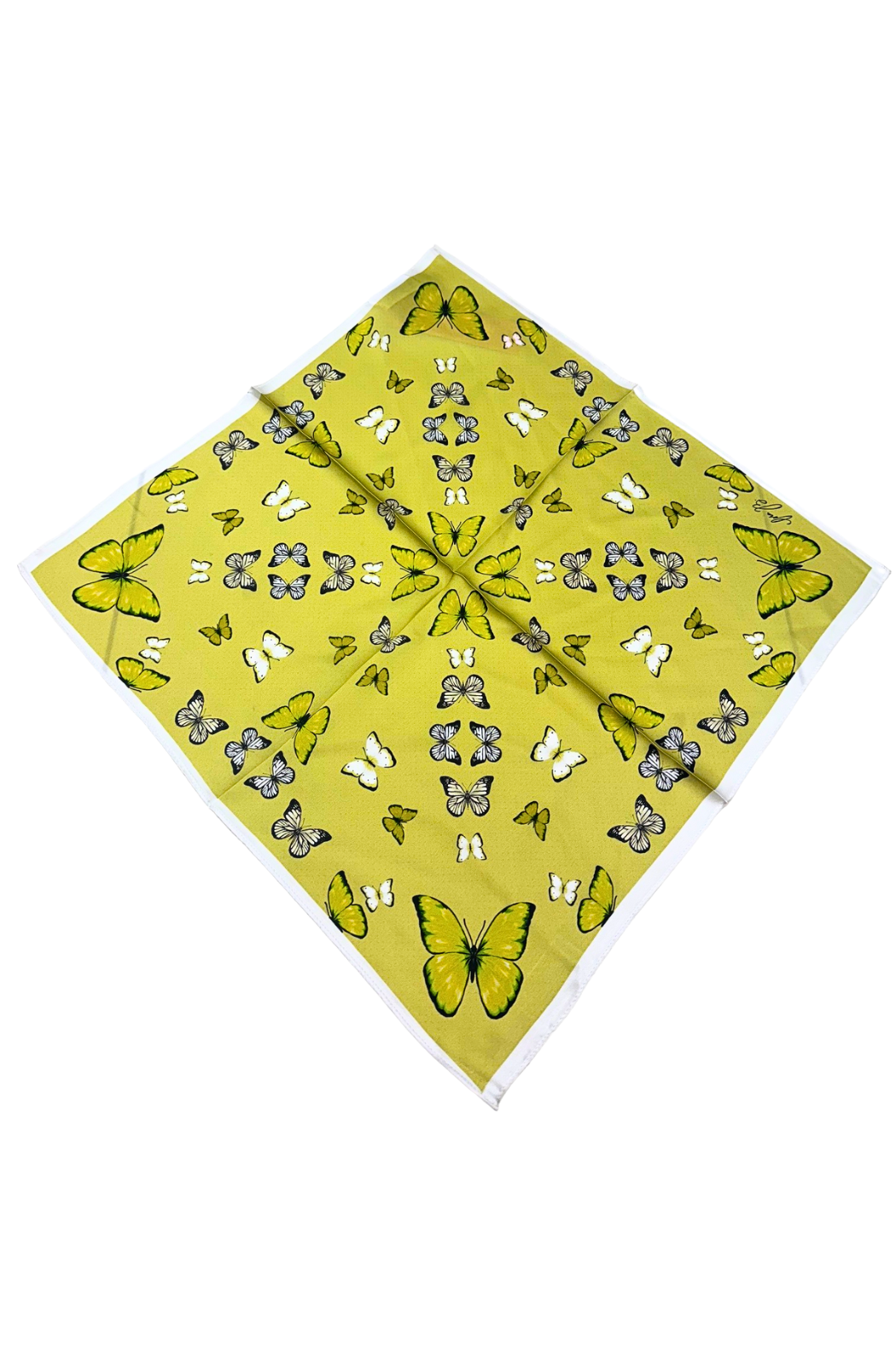 Cora B Satin Scarf
