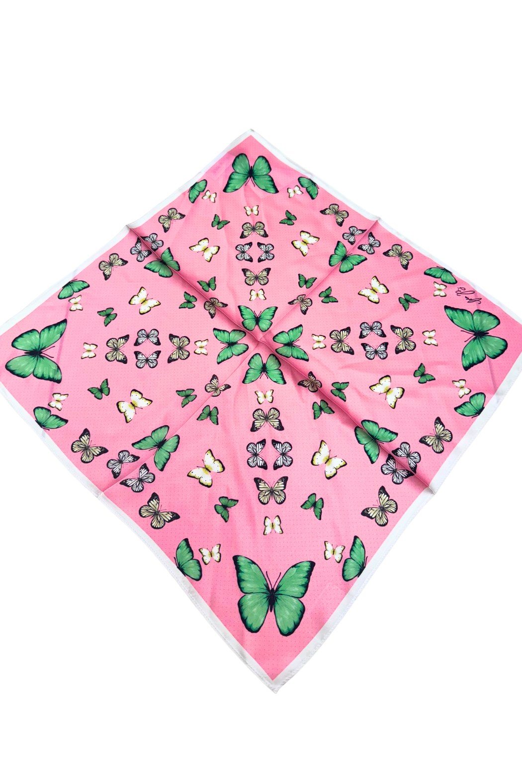 Cora B Satin Scarf