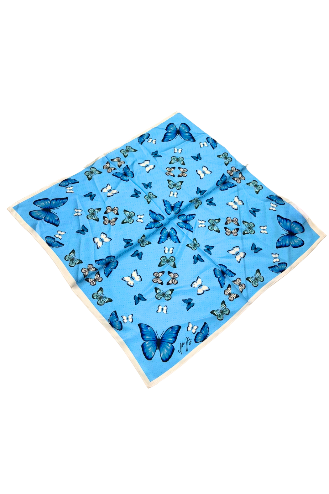 Cora B Satin Scarf
