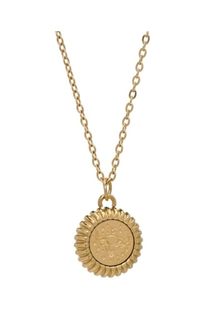 Contesa Constellations Medallion Necklace