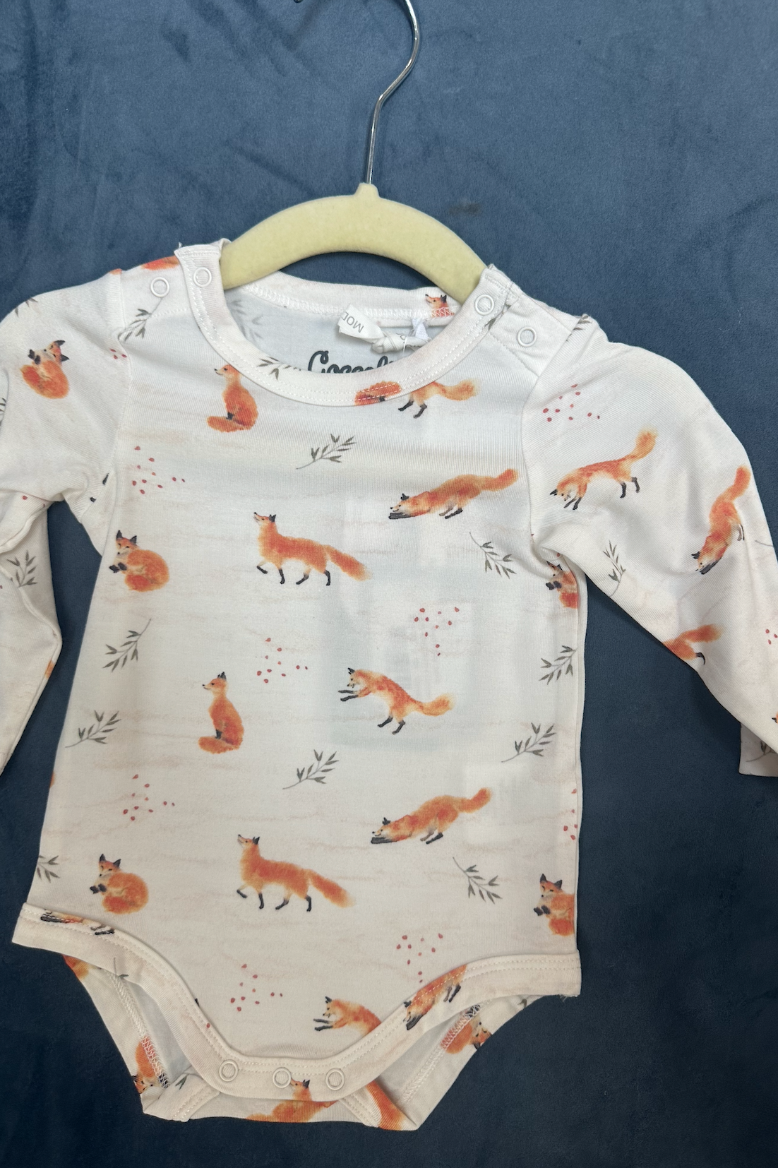 Cocco Infant Jersey Onesies
