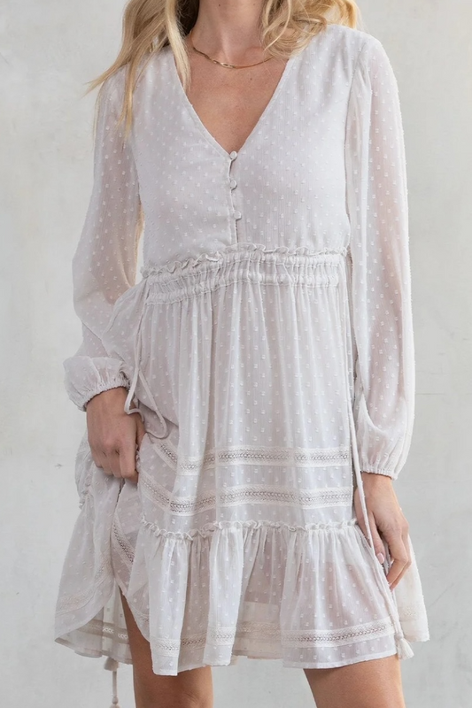 Dreamy Sheer Swiss Dot Long Sleeve Mini Dress