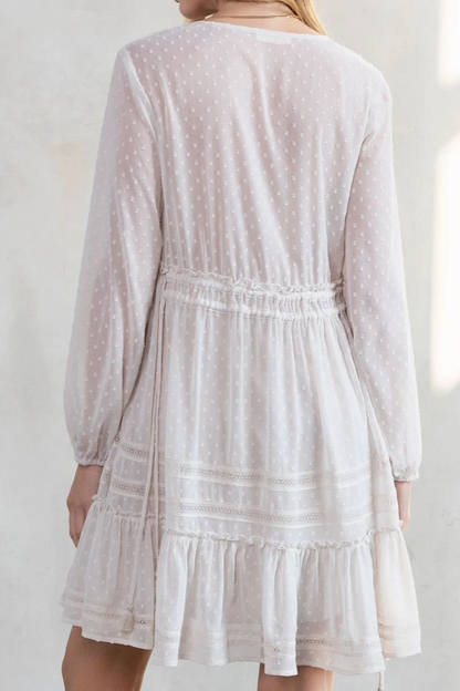 Dreamy Sheer Swiss Dot Long Sleeve Mini Dress
