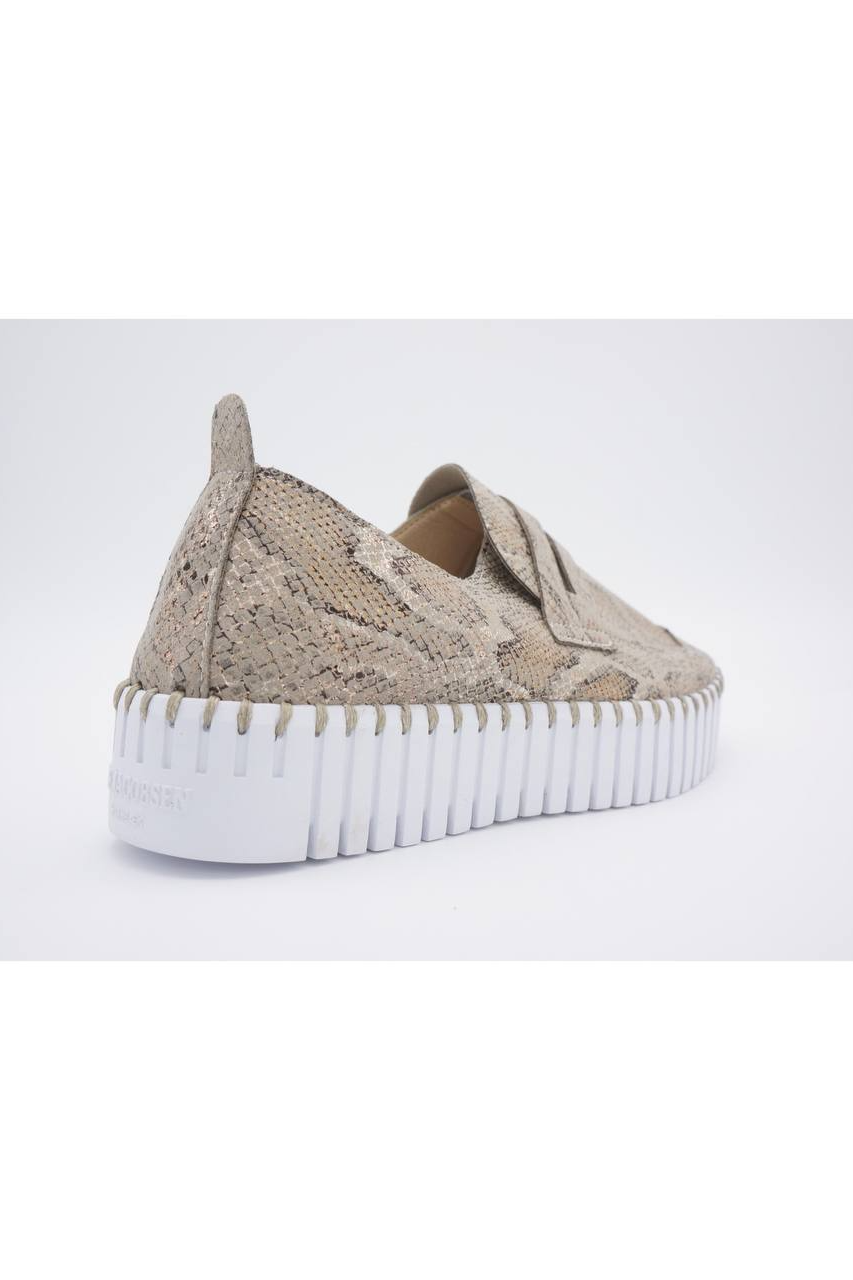 TULIP  SNAKE NEW
