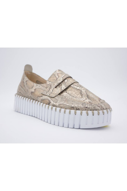 TULIP  SNAKE NEW