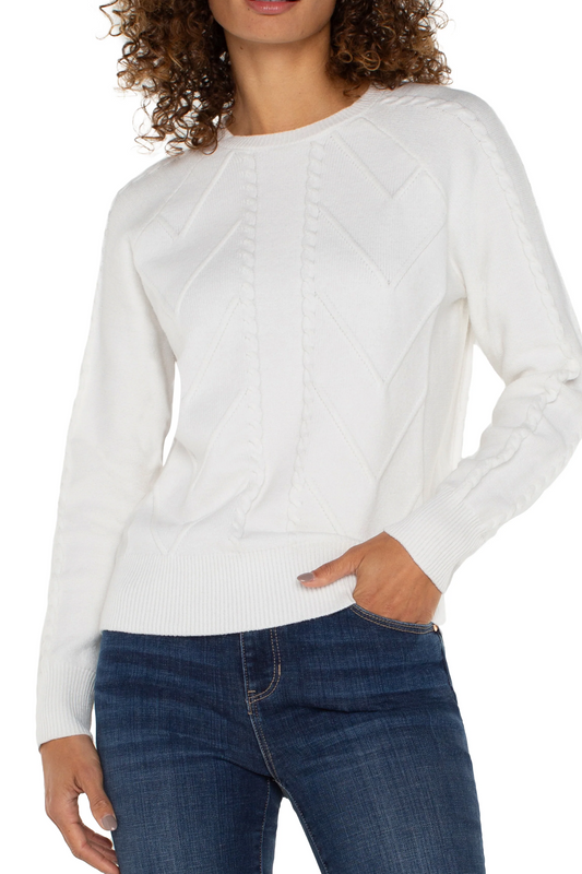 Long Sleeve Crew Neck Raglan Sweater